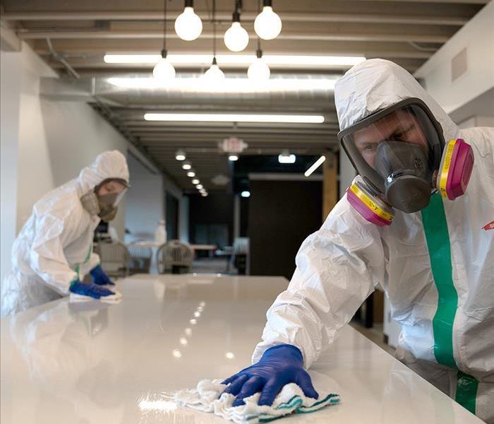Our professional technicians cleaning and disinfecting in PPE